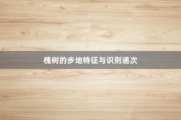 槐树的步地特征与识别递次