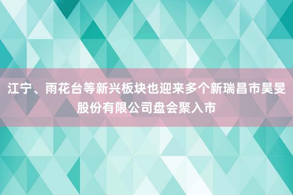 江宁、雨花台等新兴板块也迎来多个新瑞昌市昊旻股份有限公司盘会聚入市